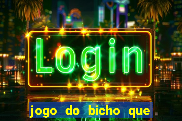 jogo do bicho que paga no pix